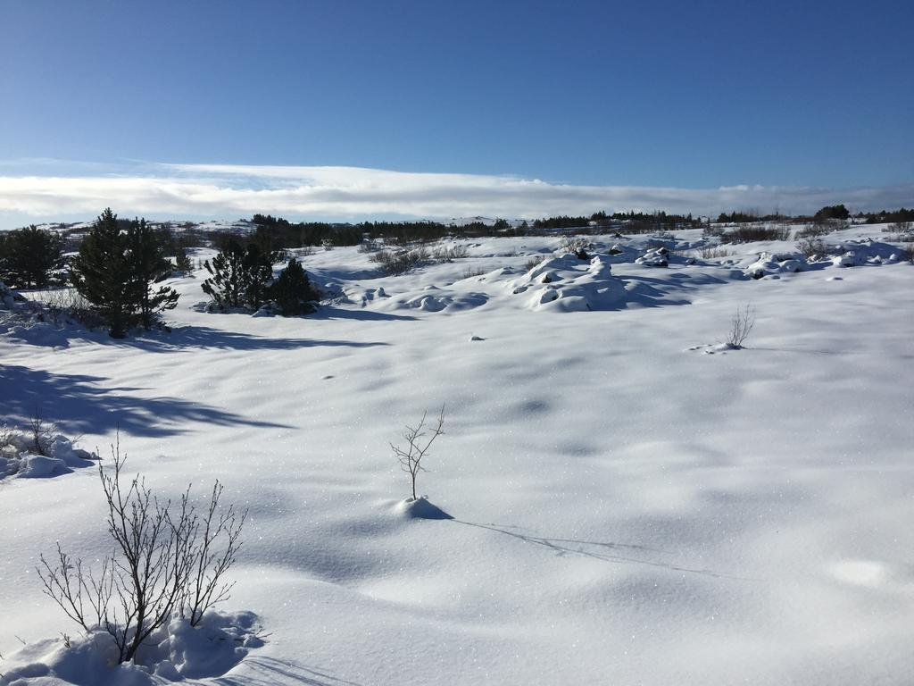 Lovely Cabin In The Capital Area With Hot Tube Hafnarfjörður المظهر الخارجي الصورة